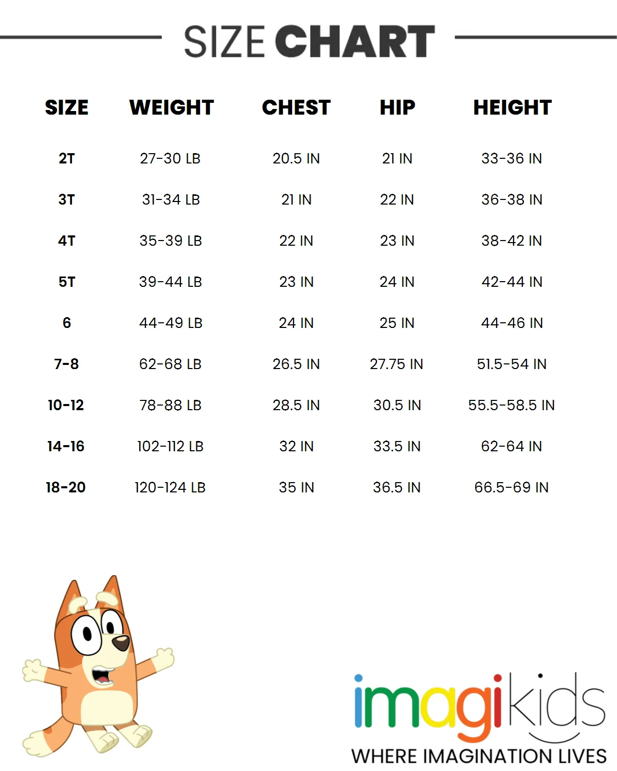 Bluey Bingo (Bluey) Matching Family Long Sleeve T-Shirt