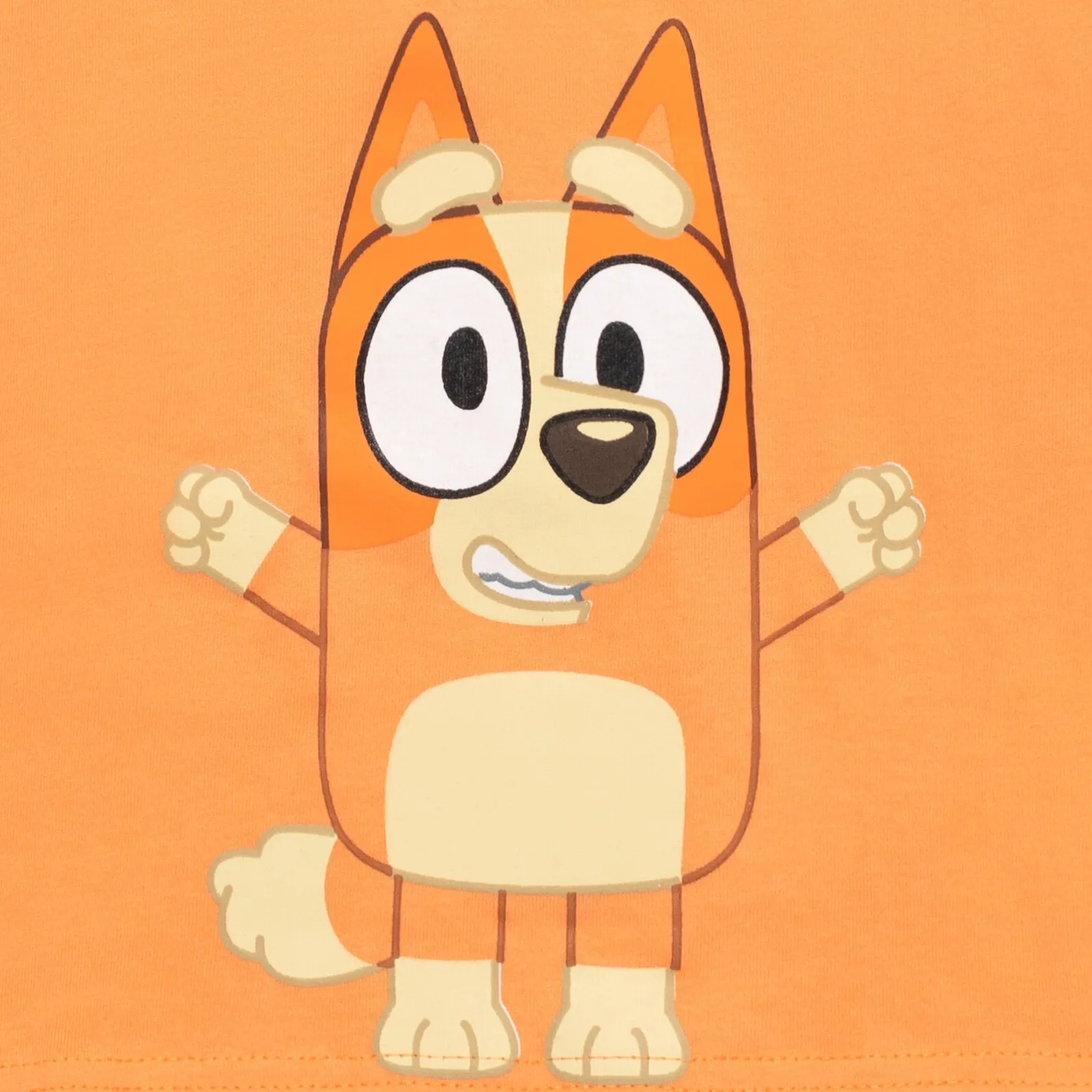 Bluey Bingo (Bluey) Matching Family Long Sleeve T-Shirt