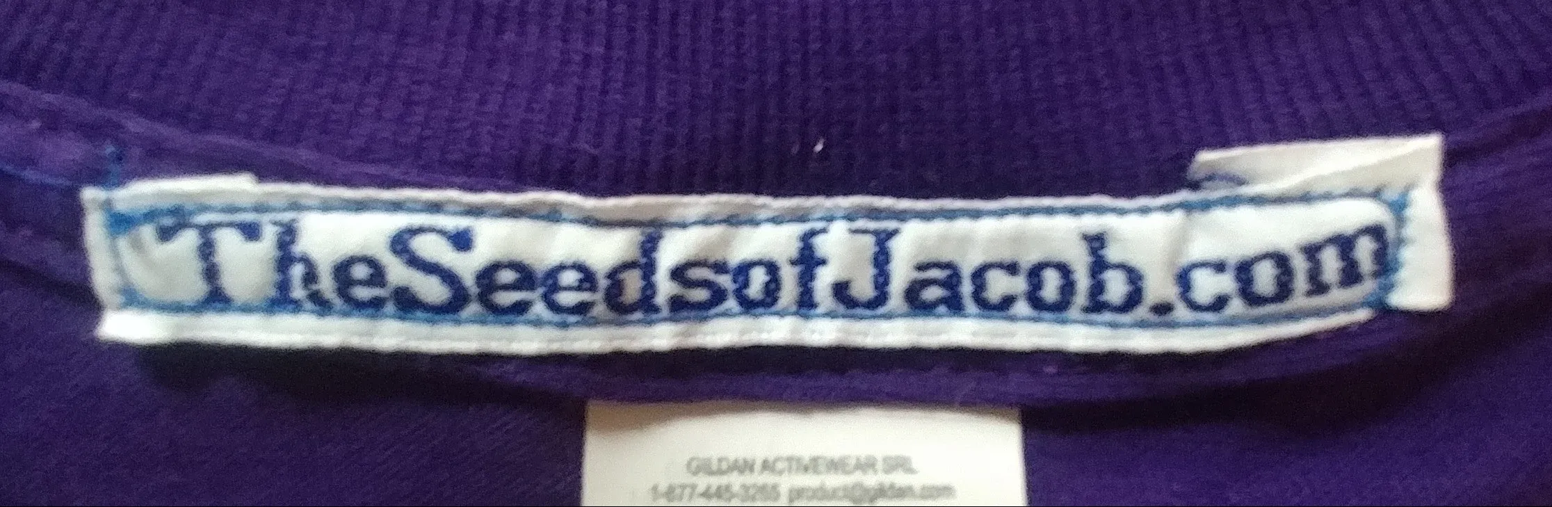 Hebrew Israelite (Purple) T-Shirt w/ Premium Gold Fringes